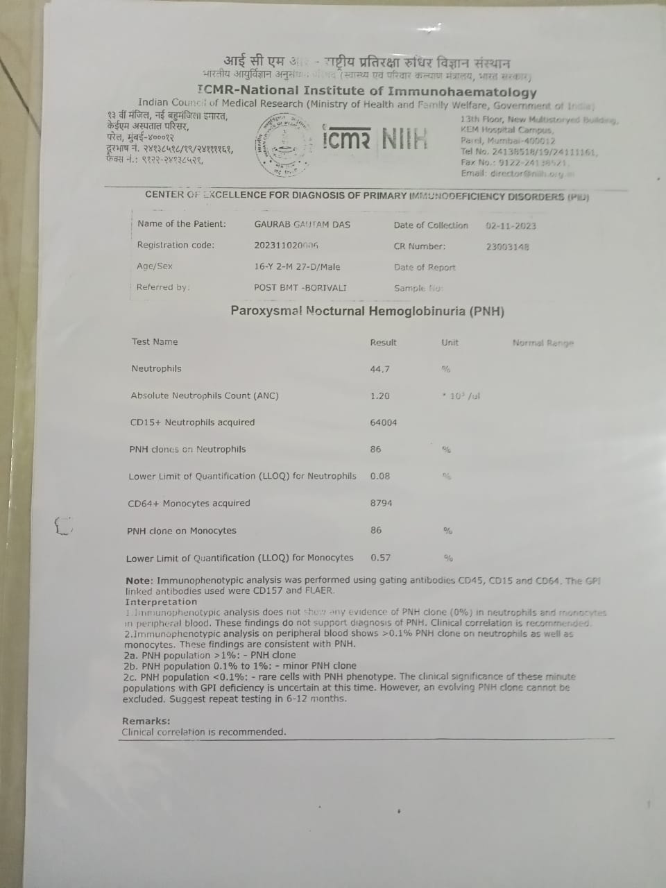 WhatsApp Image 2024-10-09 at 1.52.36 PM
